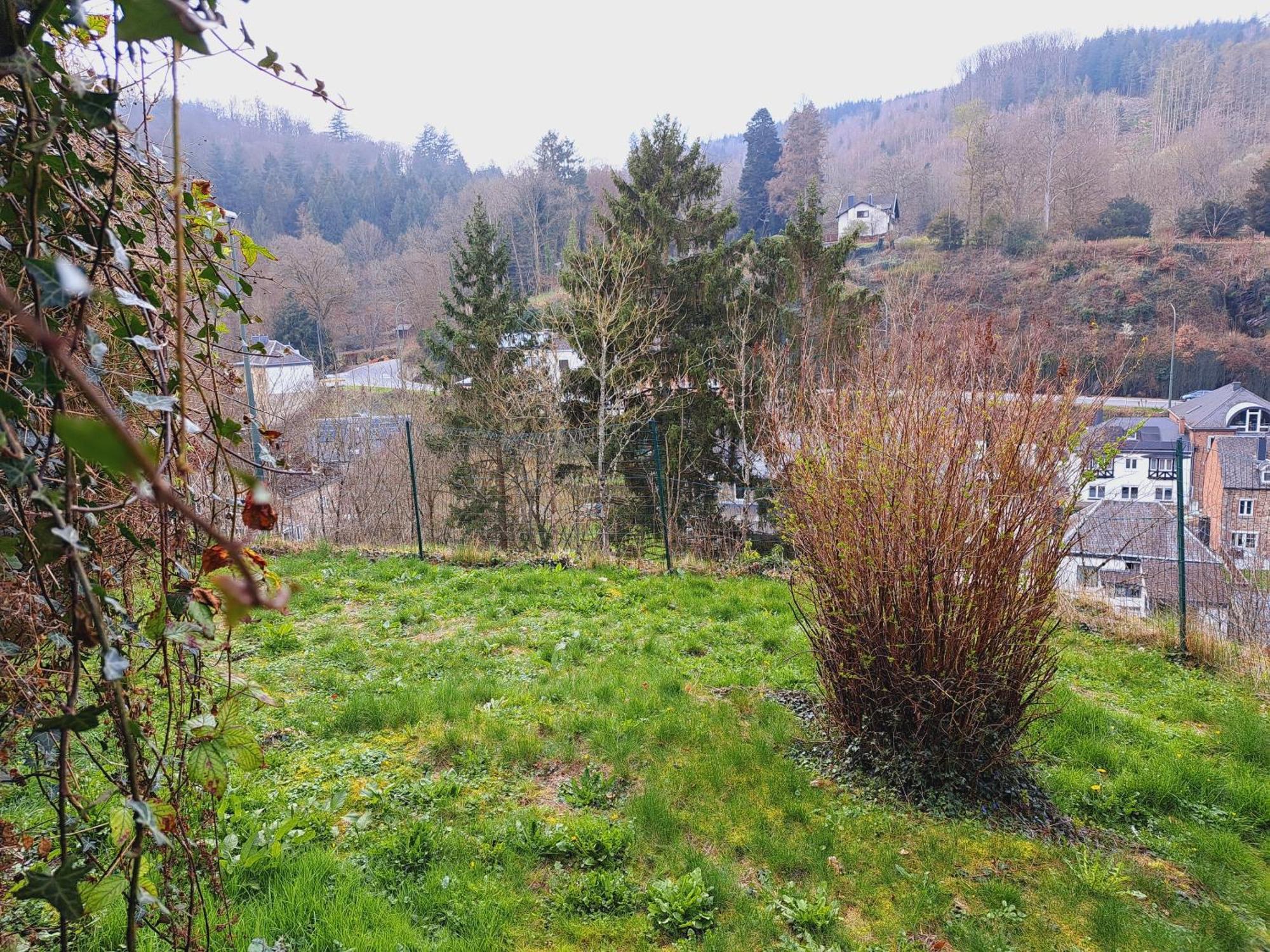 Gite Villa Le Monde - La-Roche-en-Ardenne Exterior foto